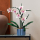 LEGO Botanicals 10311 Orchidea – zestaw konstrukcyjny z rośliną - 1040189 - zdjęcie 7